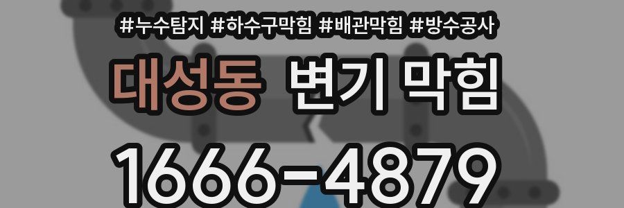 대성동 변기 막힘