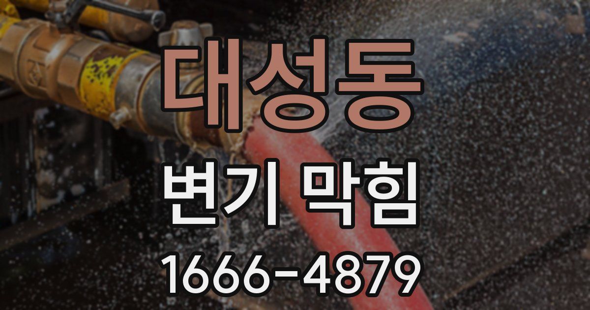 대성동 변기 막힘