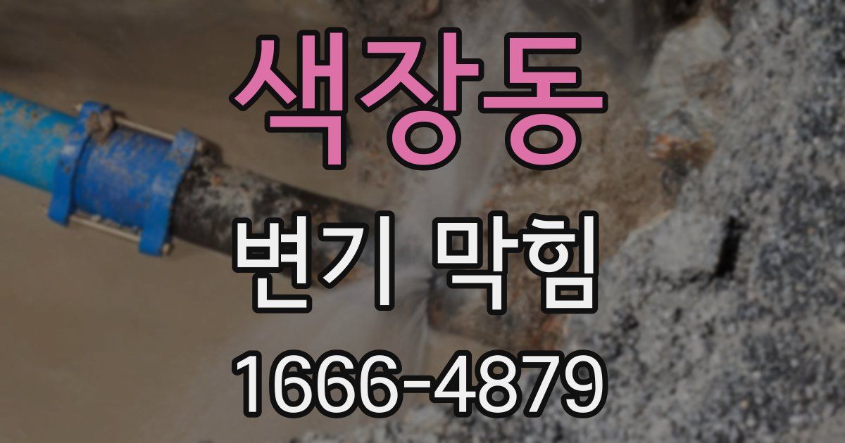 색장동 변기 막힘