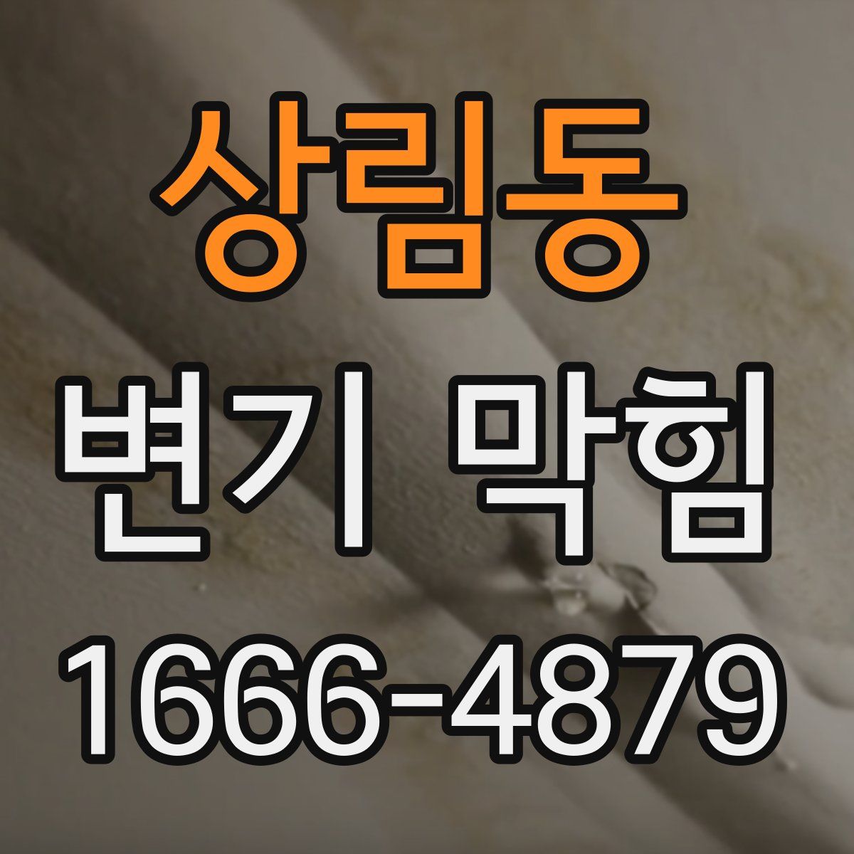 상림동 변기 막힘