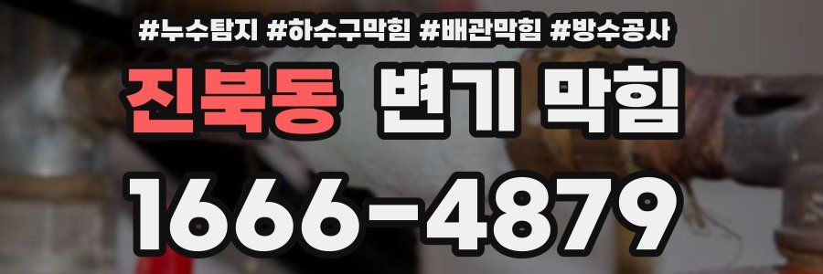 진북동 변기 막힘