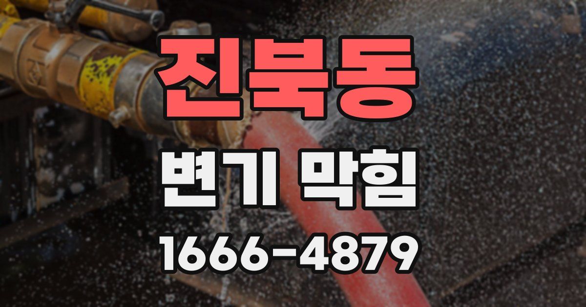 진북동 변기 막힘
