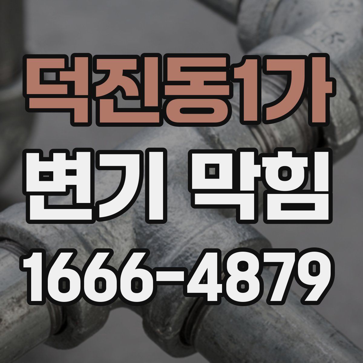 덕진동1가 변기 막힘
