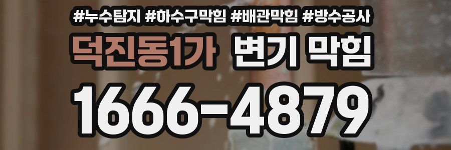 덕진동1가 변기 막힘