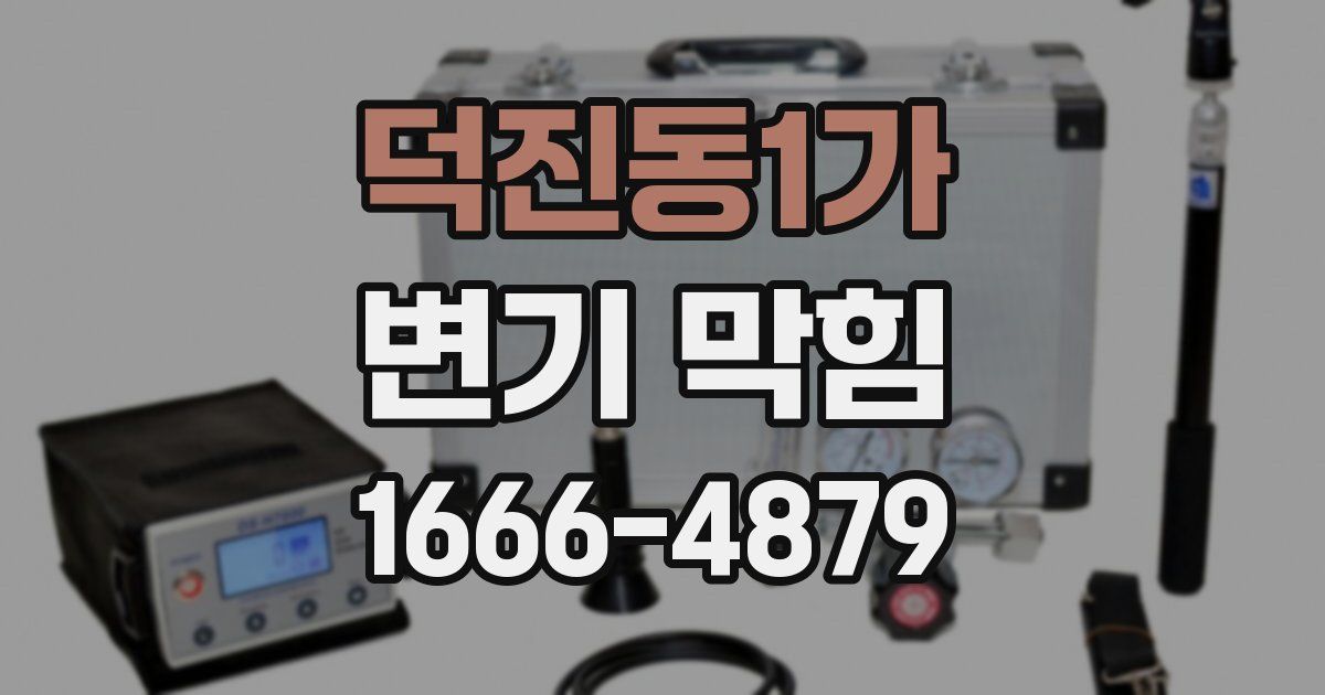 덕진동1가 변기 막힘