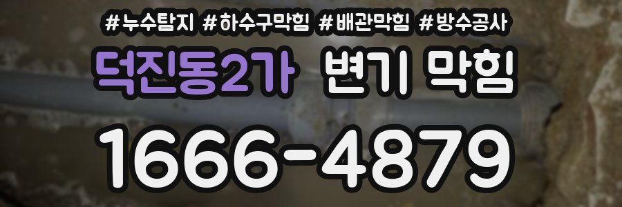 덕진동2가 변기 막힘