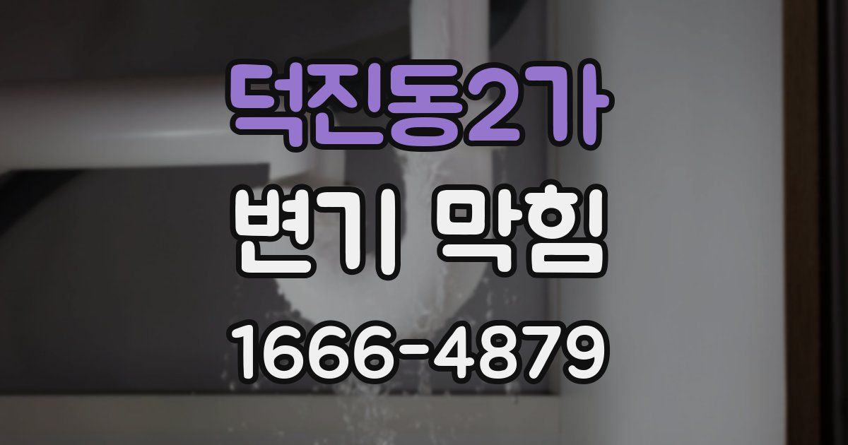 덕진동2가 변기 막힘