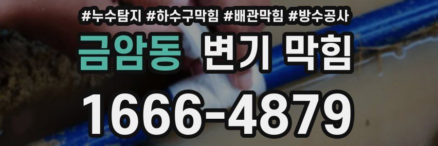 금암동 변기 막힘
