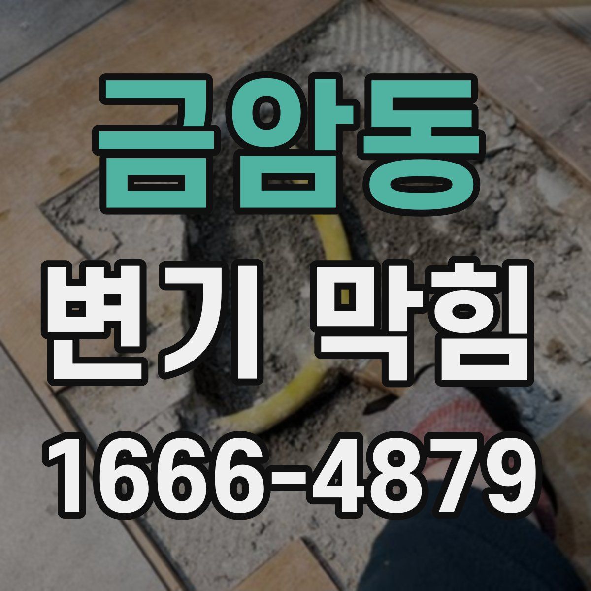 금암동 변기 막힘