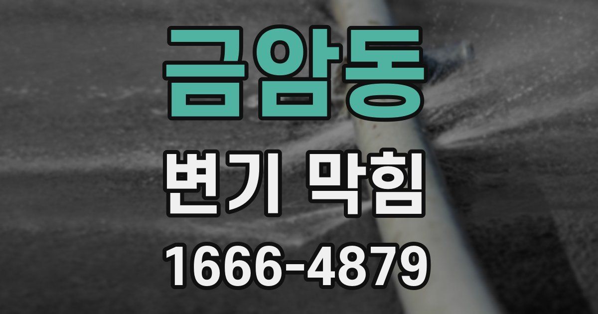 금암동 변기 막힘