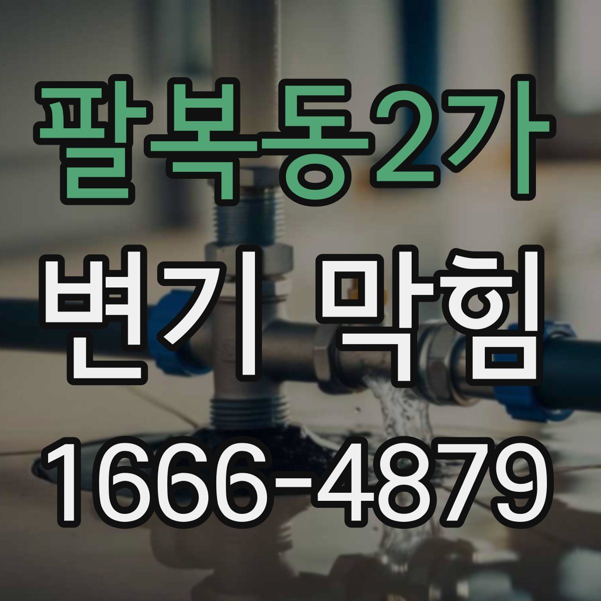 팔복동2가 변기 막힘