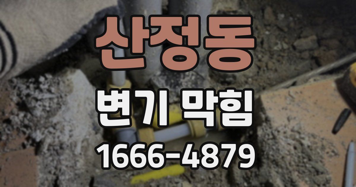 산정동 변기 막힘