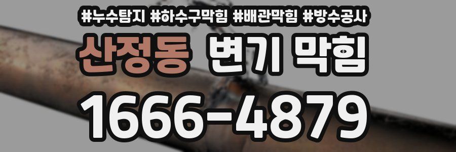 산정동 변기 막힘