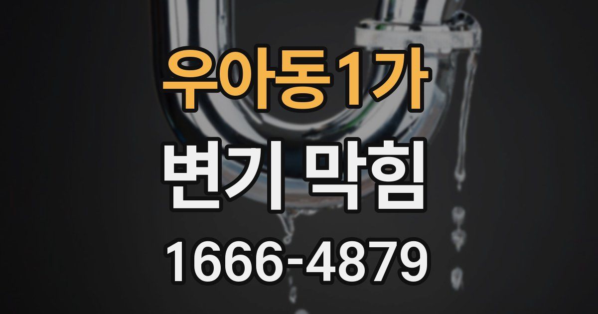 우아동1가 변기 막힘