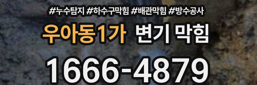 우아동1가 변기 막힘