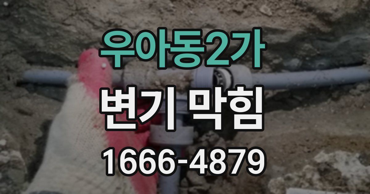 우아동2가 변기 막힘