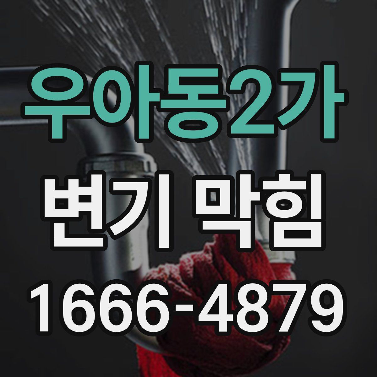 우아동2가 변기 막힘