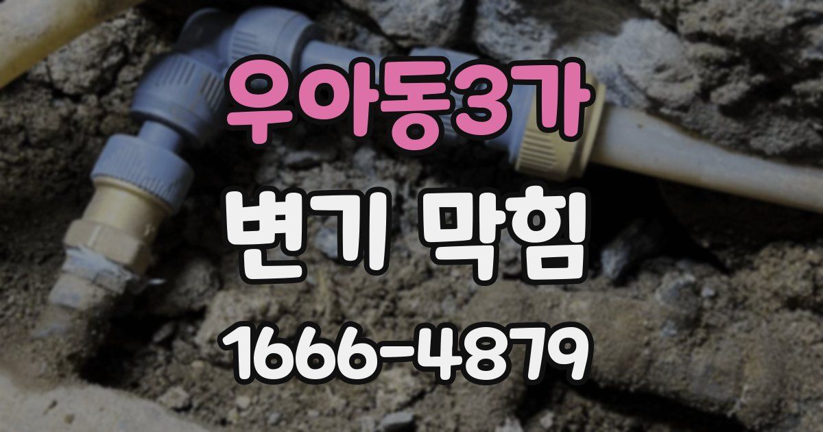 우아동3가 변기 막힘