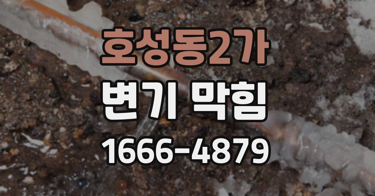 호성동2가 변기 막힘