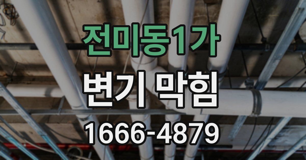 전미동1가 변기 막힘