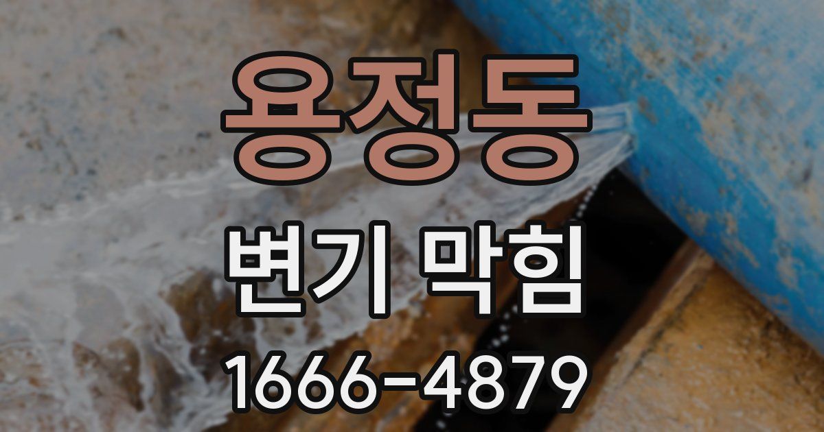 용정동 변기 막힘