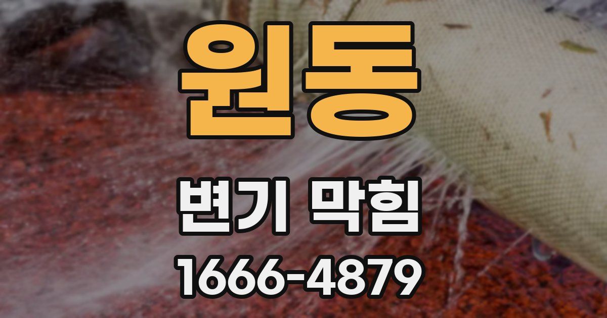 원동 변기 막힘