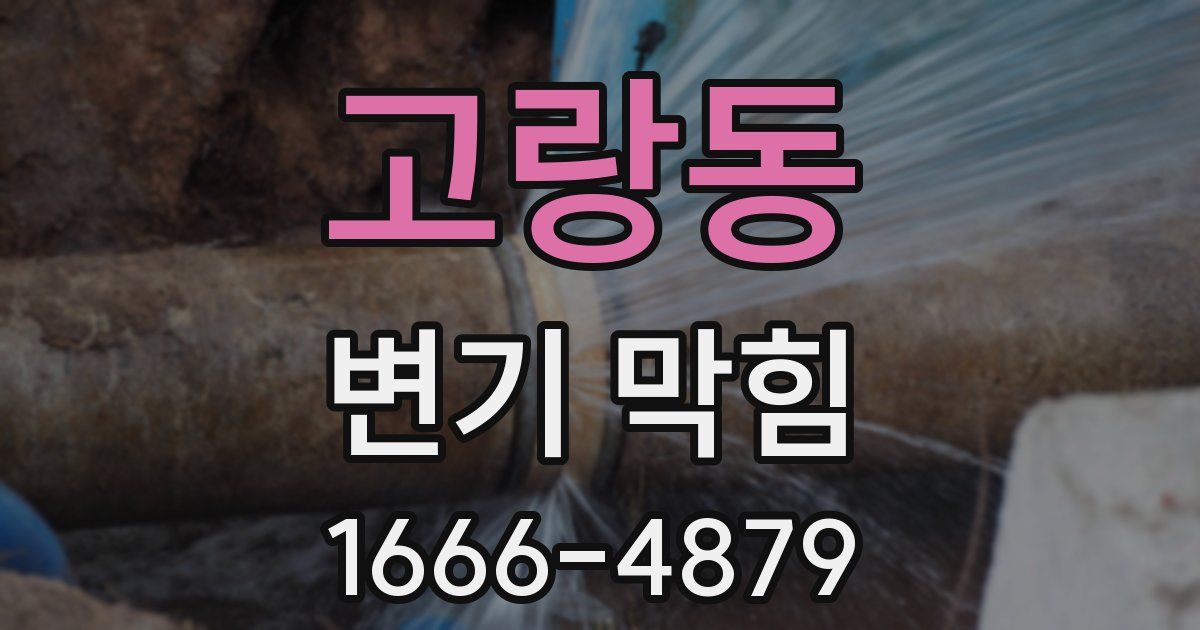 고랑동 변기 막힘