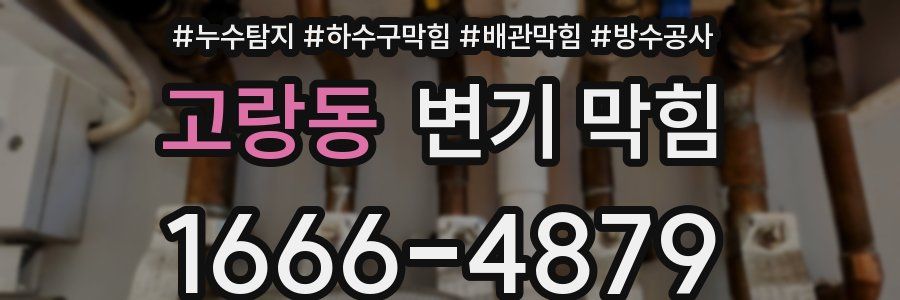 고랑동 변기 막힘
