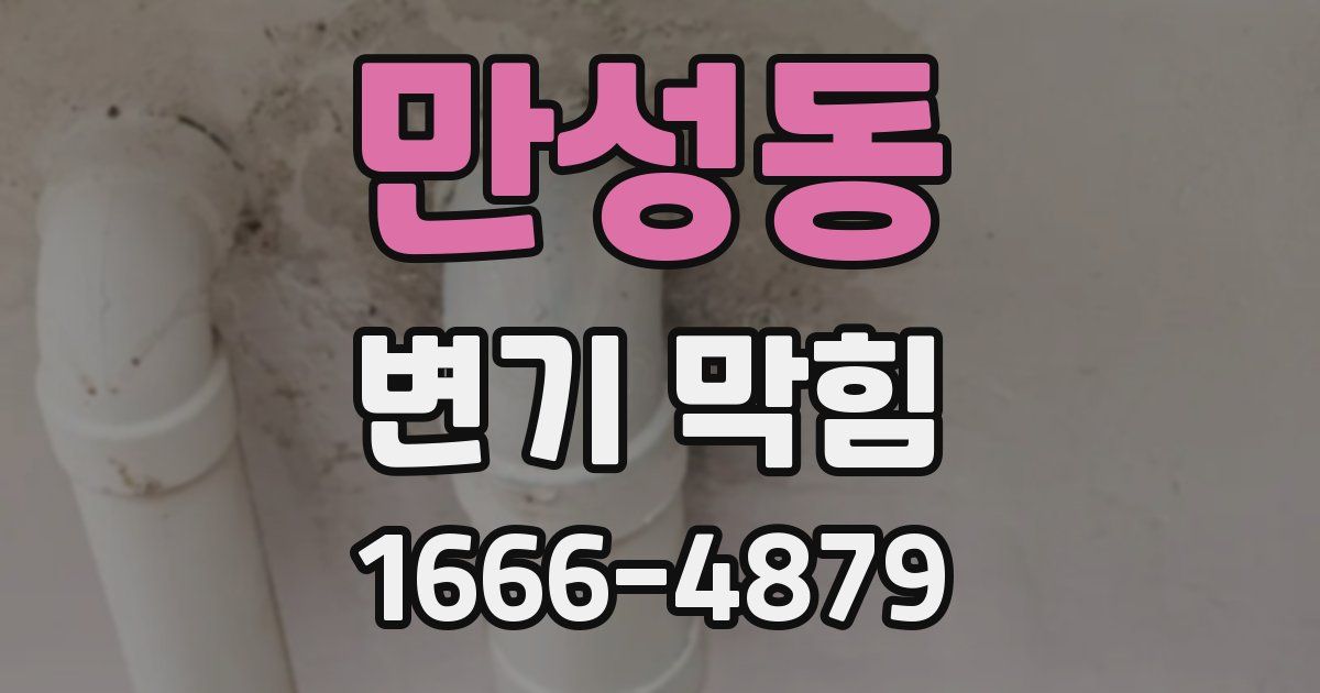 만성동 변기 막힘