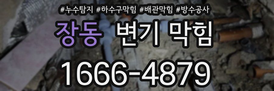 장동 변기 막힘