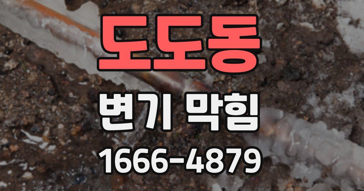 도도동 변기 막힘
