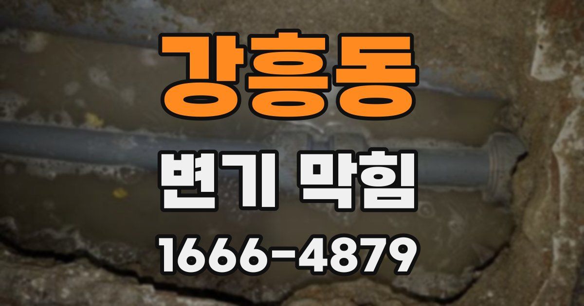 강흥동 변기 막힘