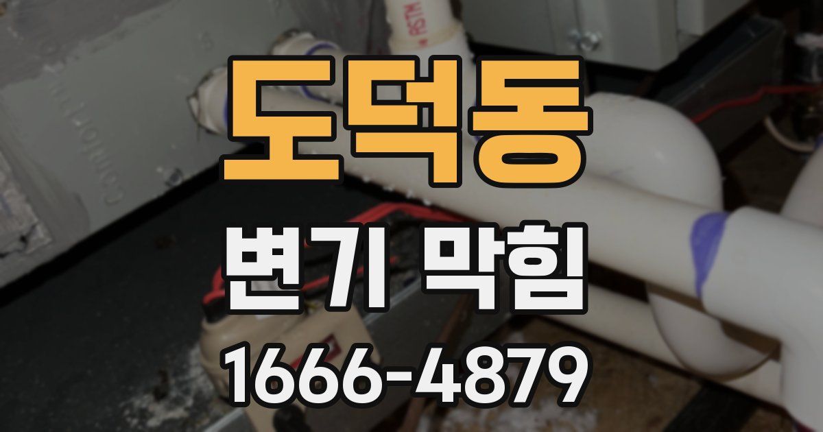 도덕동 변기 막힘
