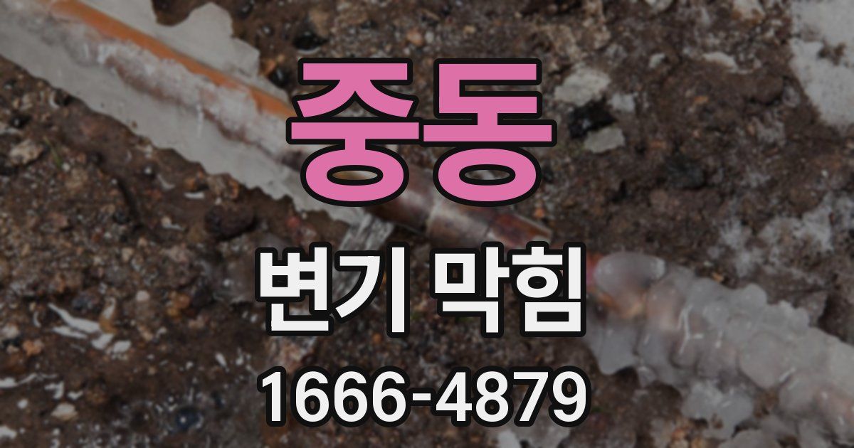 중동 변기 막힘