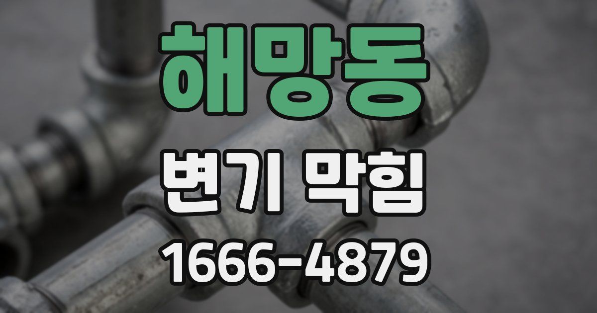 해망동 변기 막힘