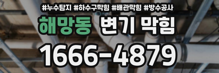 해망동 변기 막힘