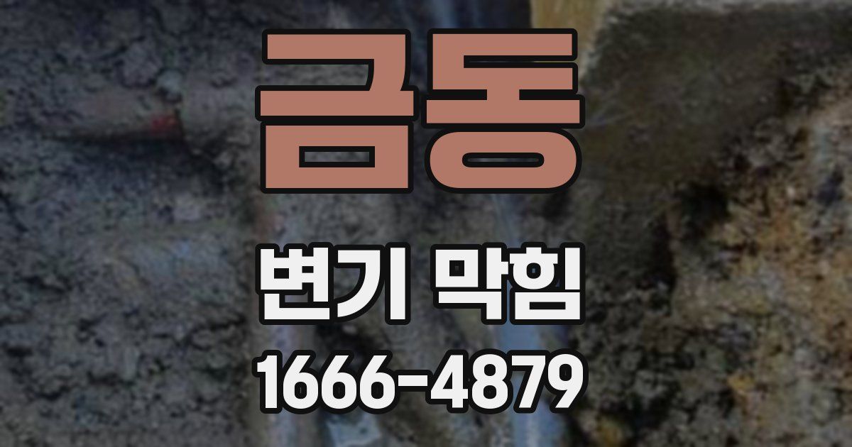 금동 변기 막힘