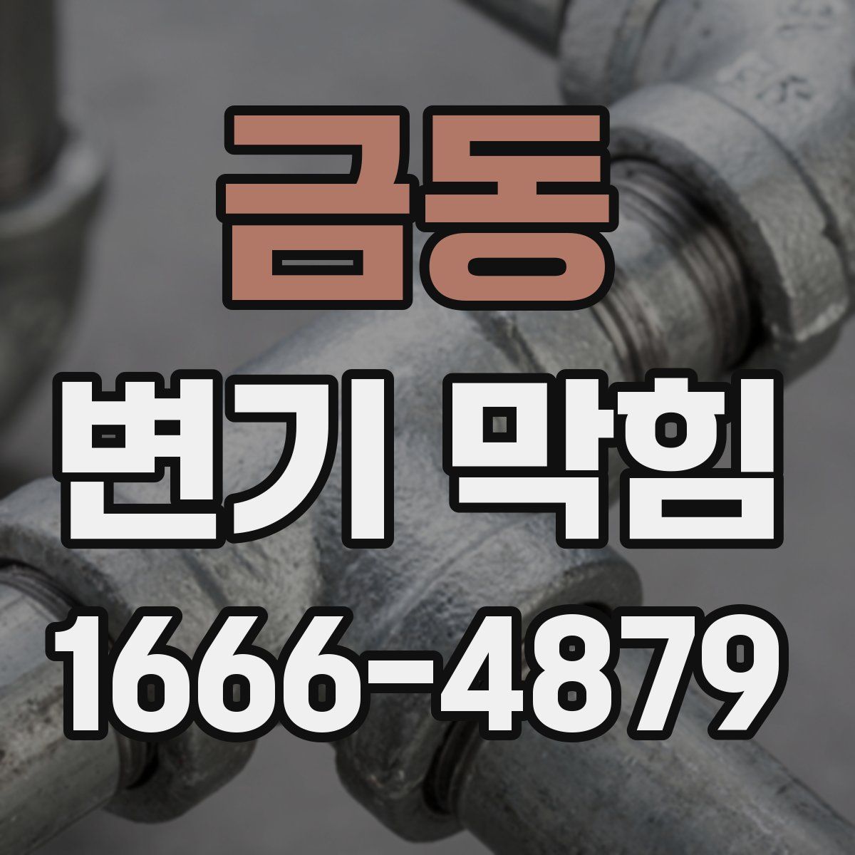금동 변기 막힘