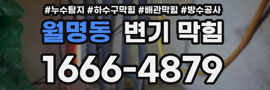 월명동 변기 막힘