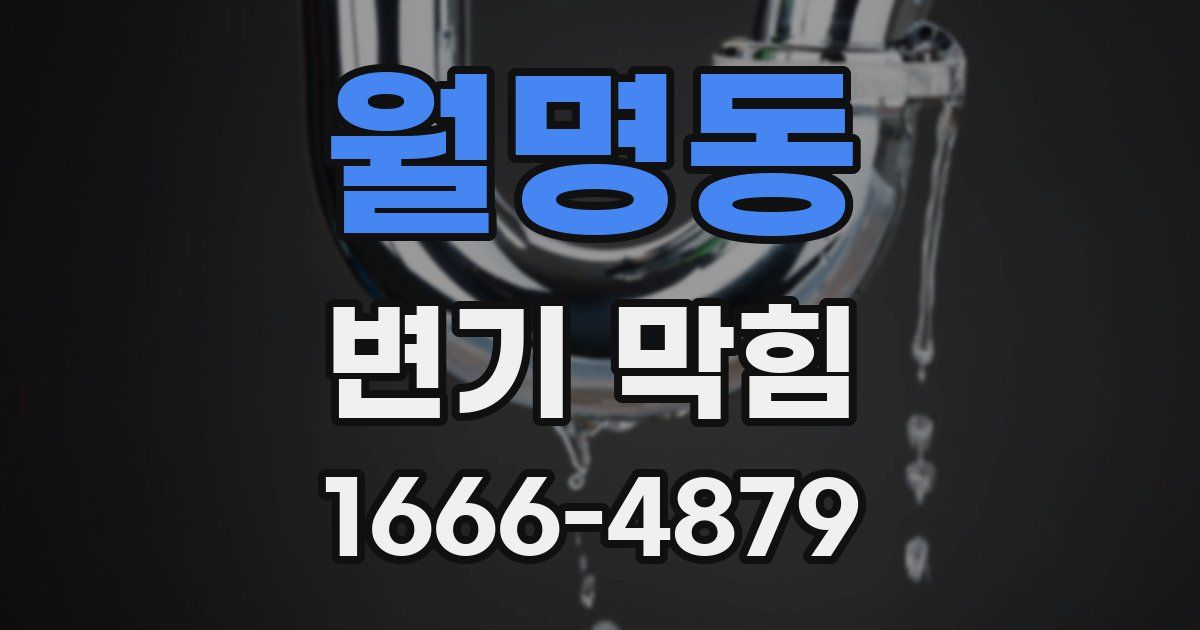 월명동 변기 막힘
