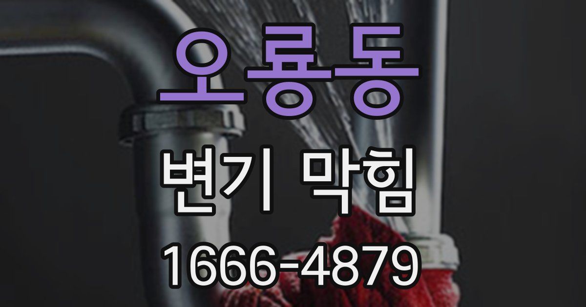 오룡동 변기 막힘