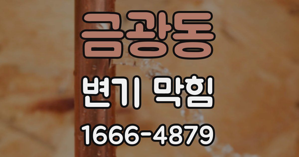 금광동 변기 막힘