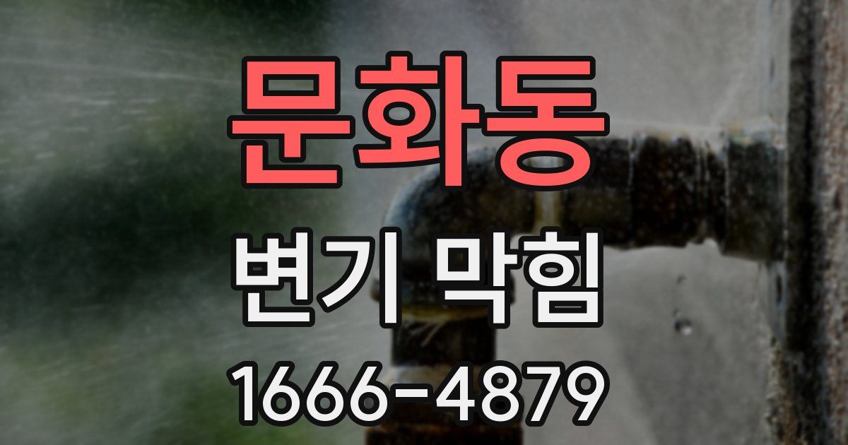 문화동 변기 막힘