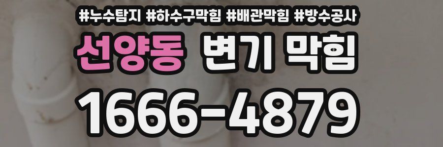 선양동 변기 막힘