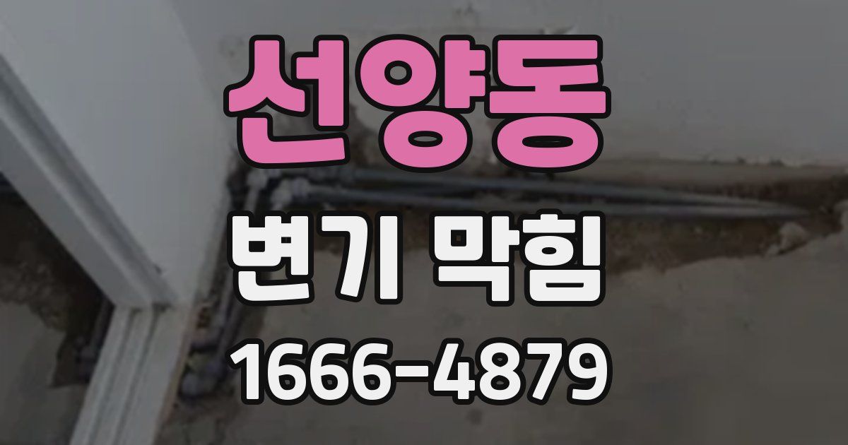 선양동 변기 막힘