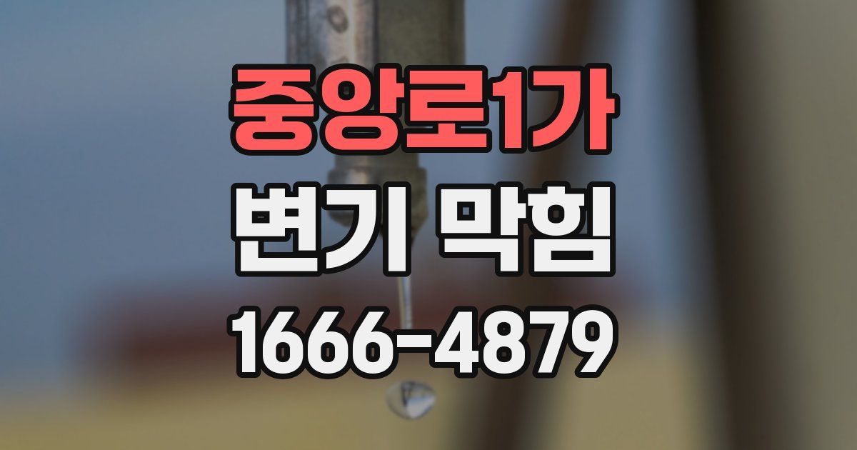 중앙로1가 변기 막힘