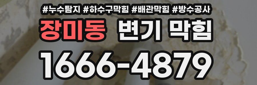 장미동 변기 막힘