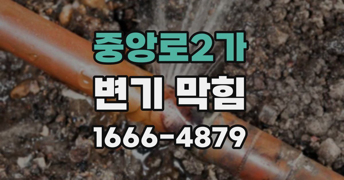 중앙로2가 변기 막힘