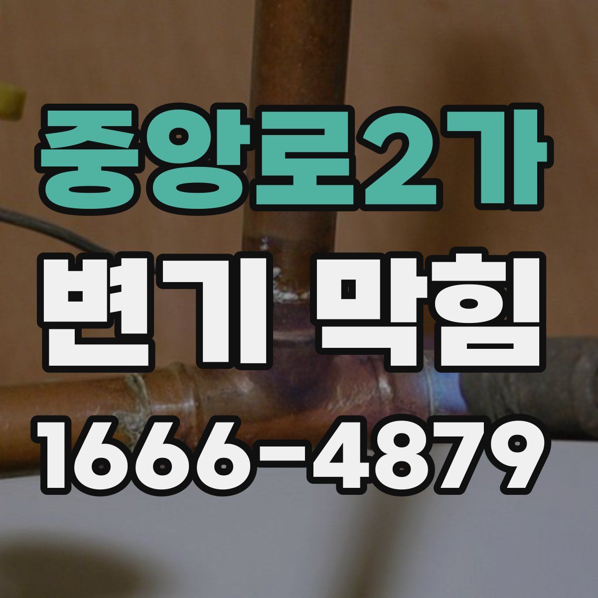 중앙로2가 변기 막힘
