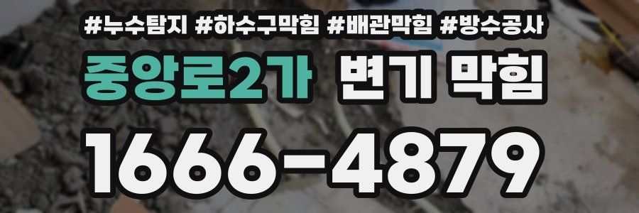 중앙로2가 변기 막힘